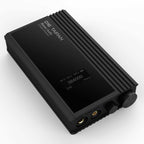 iBasso D16 Taipan Portable DAC/Amp angled view showing brushed metal body and headphone outputs on white background