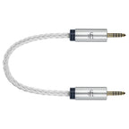 iFi Audio 4.4mm to 4.4mm balanced cable with braided silver wire and metal connectors on white background
