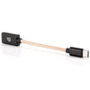 iFi Audio Audiophile On-the-Go (OTG) Cable