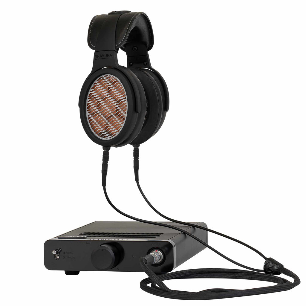 Warwick Acoustics BRAVURA Electrostatic Earspeaker System with connected amplifier on a white background