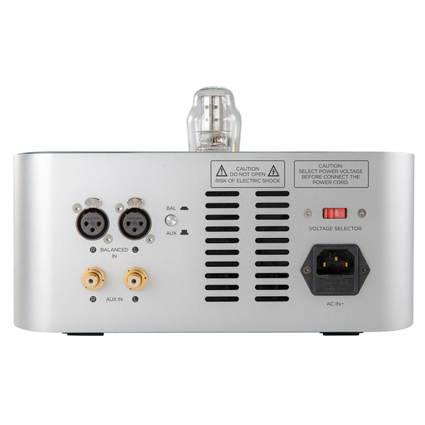 ShangJrAmp_rear_600x.jpg?v=