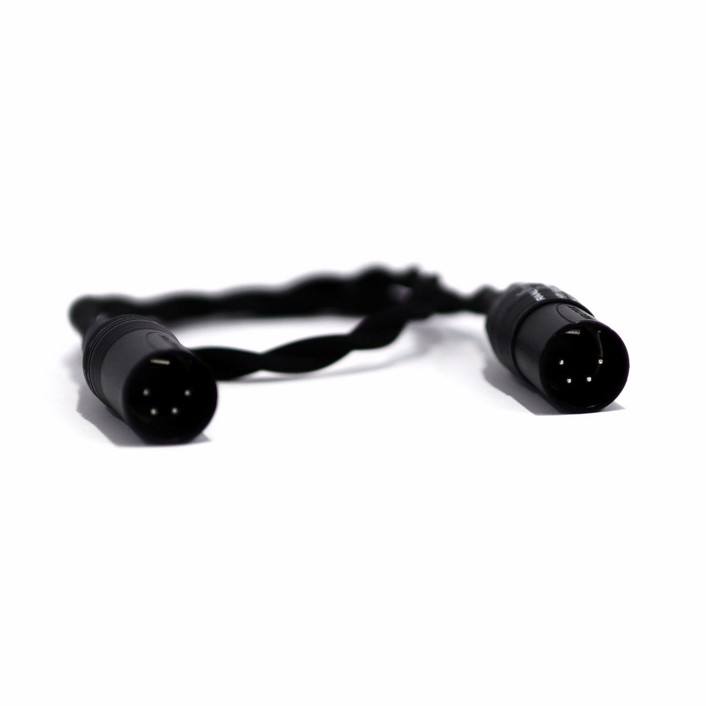 RAAL-requisite ITI OEM Input Cable for Transformer Interface with two 4-pin XLR connectors on white background