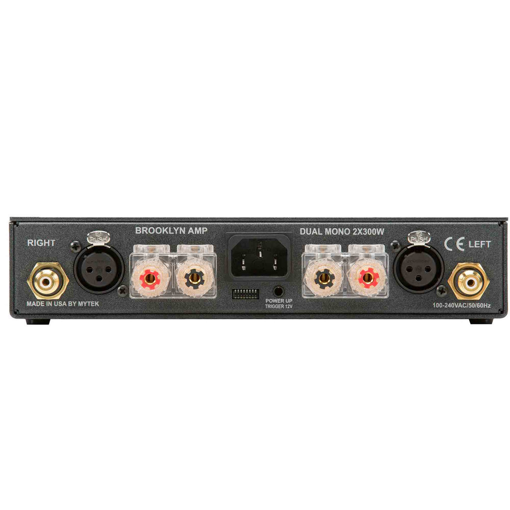 Rear view of Mytek Brooklyn AMP+ stereo amplifier showing balanced and speaker output connectors on white background